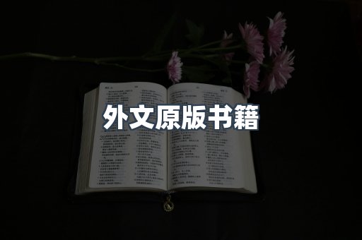 海外电子书